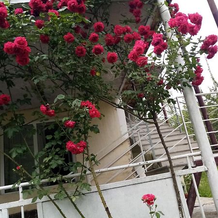 Mti House Hotel Kvesheti Exterior foto