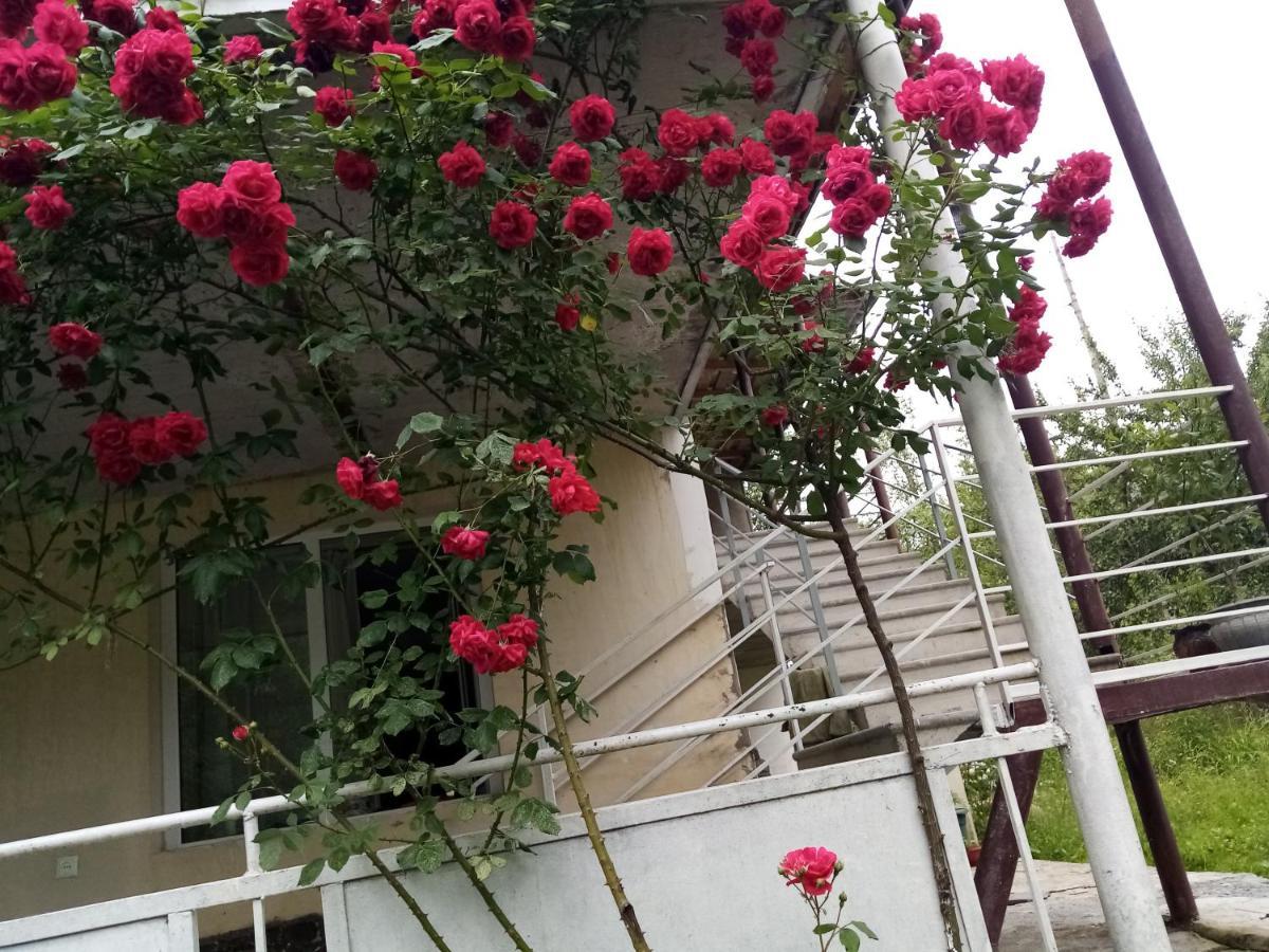 Mti House Hotel Kvesheti Exterior foto